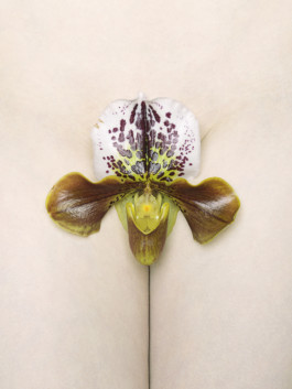 thomas rusch