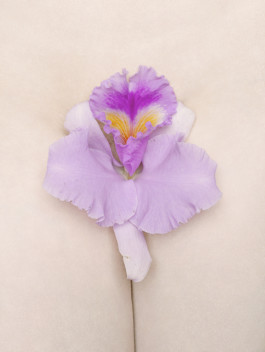 thomas rusch