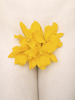 thomas rusch