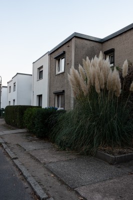 thomas rusch