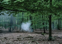 thomas rusch