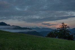 thomas rusch