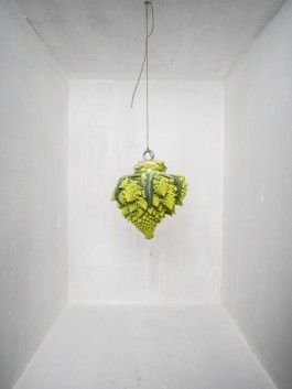 thomas rusch