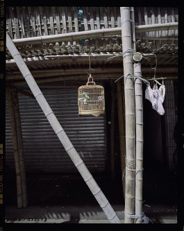 thomas rusch